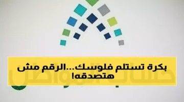 حساب المواطن يحدد موعد صرف الدفعة رقم 100 بمبلغ غير متوقع